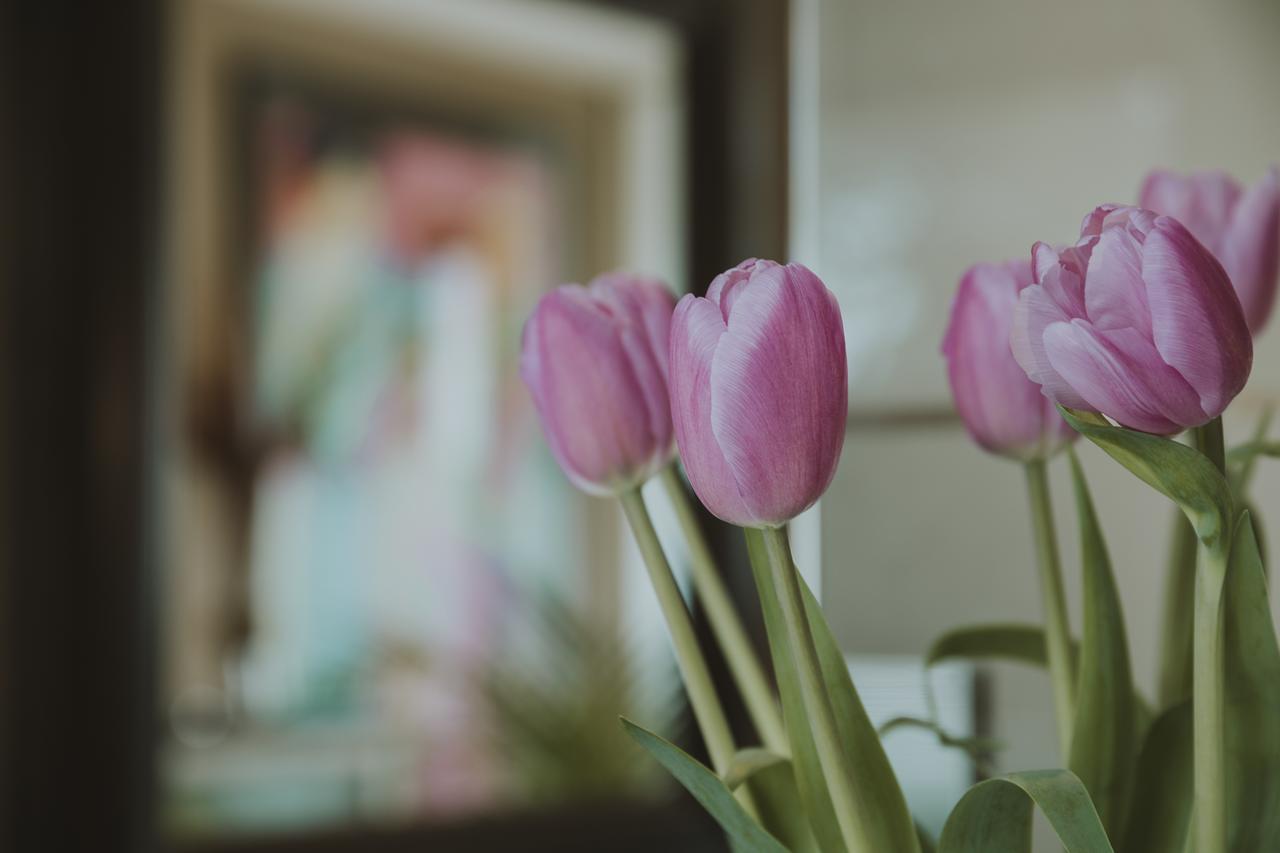 Bed & Breakfast Ines Sant Cugat del Valles